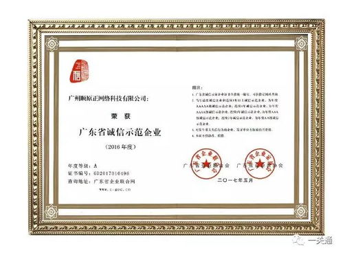 知识产权代理 国内与国际商标注册的全方位服务指南